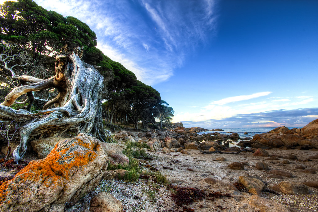 Bunker Bay, Western Australia